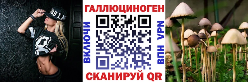 kraken ONION  Анадырь  Галлюциногенные грибы MAGIC MUSHROOMS 